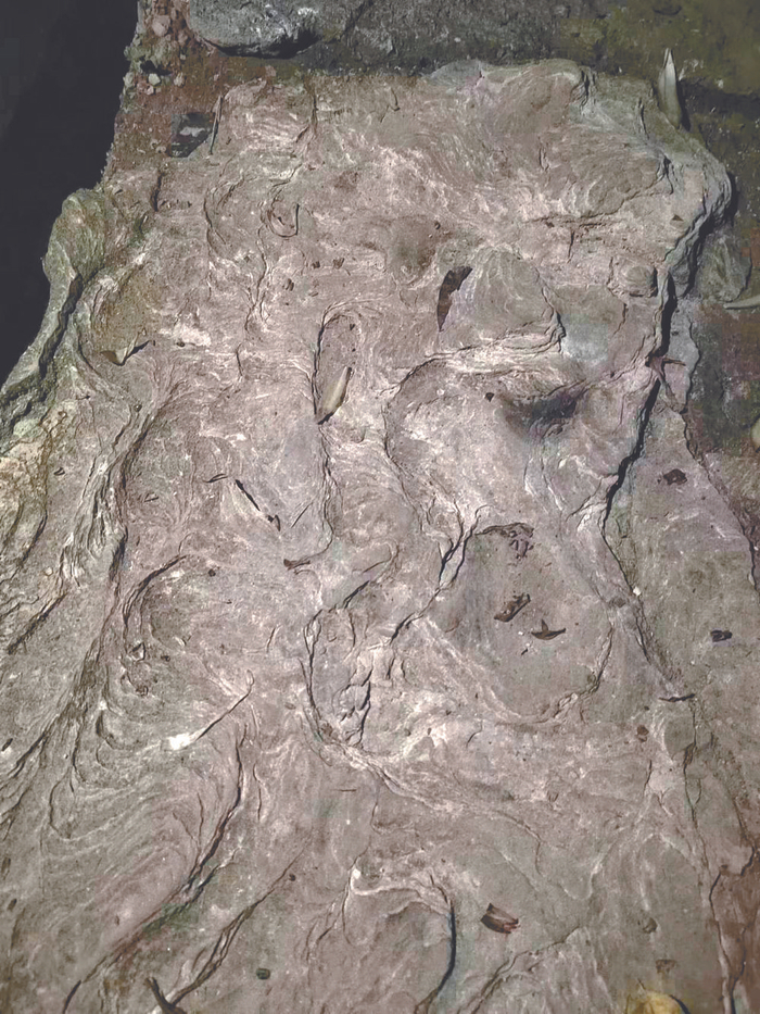     带路的张爷爷说云石上有马蹄印