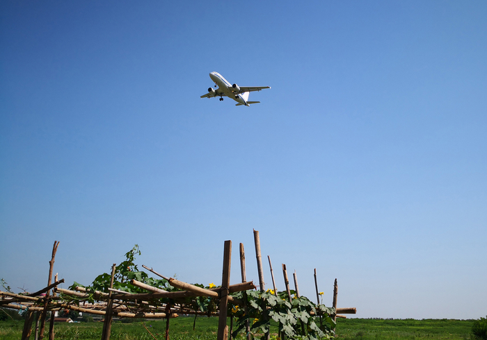 每经记者 李少婷 摄