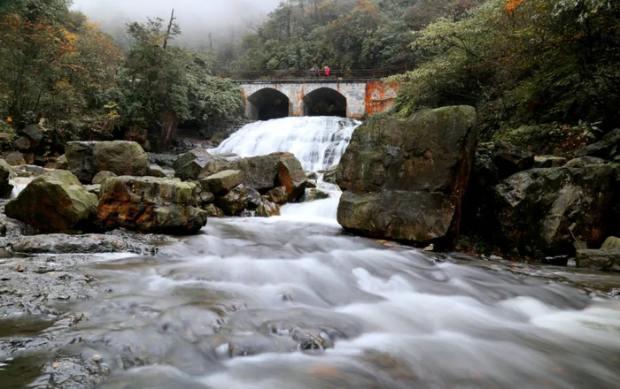 奇怪啊，人尚飘摇不定，却有一只小小蝴蝶，轻轻盈盈地飞上桥来，仪态万方地歇在木头栏杆上。