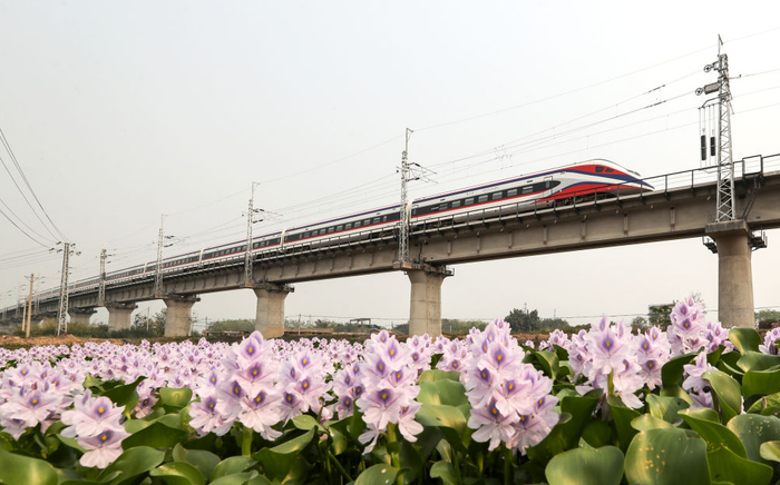 4月13日，从老挝万象站驶出的D888次列车行驶在云南省西双版纳州境内的中老铁路橄榄坝特大桥上。新华社记者 单宇琦 摄