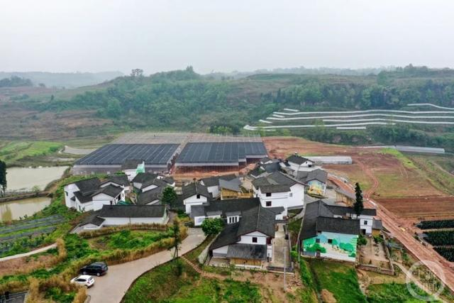 ▲渝北区兴隆镇新寨村杉树屋基，打造“环境美、功能美、风貌美、文明美”四美庭院。图片来源/渝北区融媒体中心