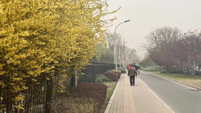 北京天空昏黄，沙尘天气持续多日 图源：时代财经摄
