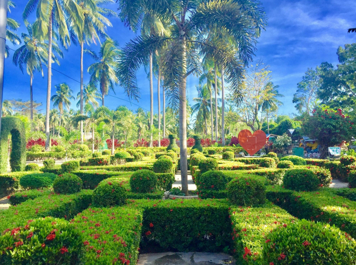 图说：简爱所使用的椰浆产地环境良好