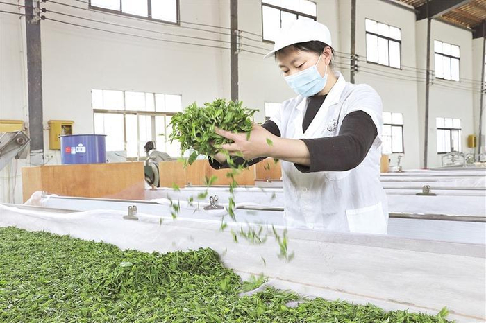     摊青。  马玲玉 摄