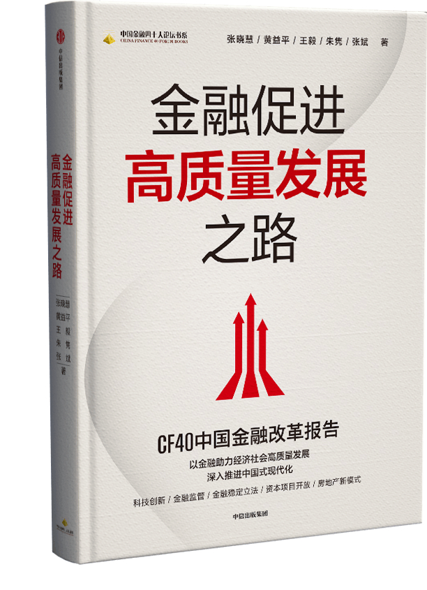 张晓慧 黄益平 王毅 朱隽 张斌 著