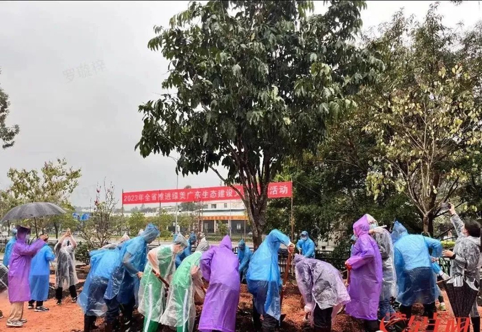 来源：金羊网