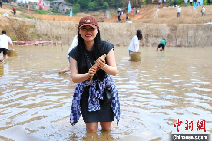 图为市民在泥塘里享受摸鱼的快乐。梁钦卿摄