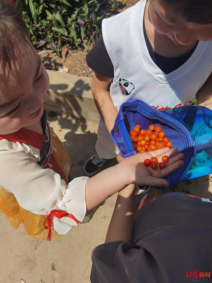 ▲小朋友之间的摘樱桃比赛