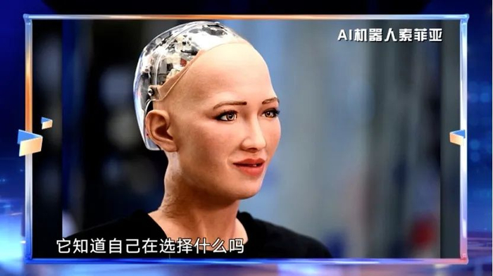 AI机器人索菲亚