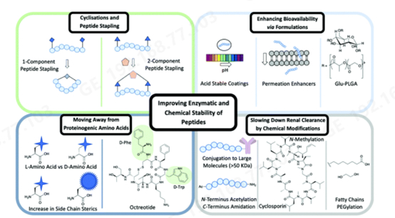 图6 不同的方法用来提高PDC中多肽的酶、化学稳定性