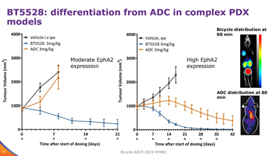 图9 BT-5528抗肿瘤性能