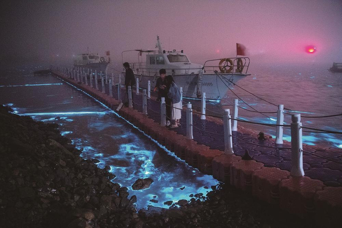 “蓝眼泪”频频现身，吸引大批省内外游客慕名来岚“追泪”。念望舒 林映树 摄