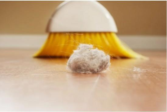 许多人对灰尘的认知流于表面。/图虫创意