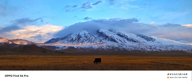 @墨子爱吃渔 作品