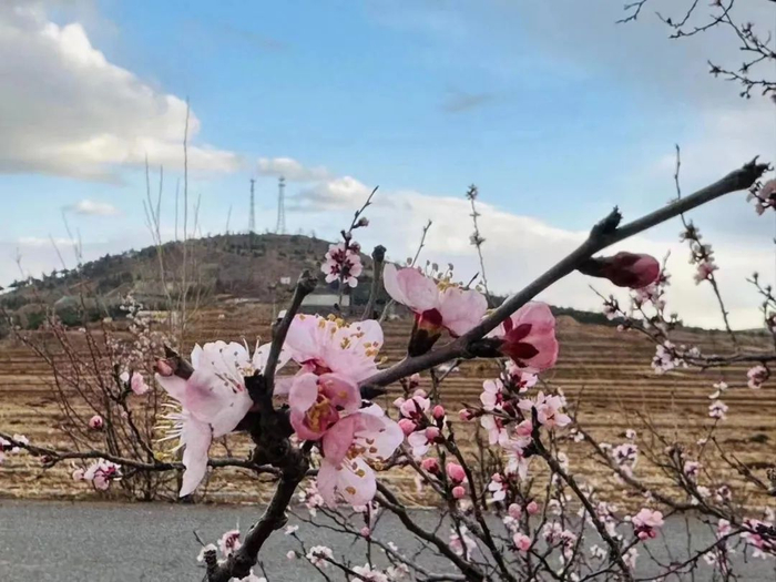 图：赤峰市宁城县忙农镇坤头山杏花谷