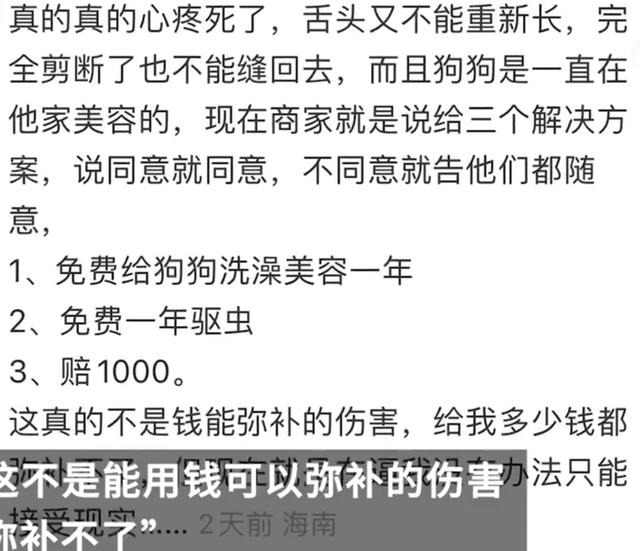 图/九派新闻视频