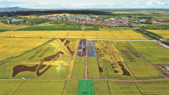 同江市三村镇二村村乡村旅游多彩稻田画艺术景观。 张永奎摄