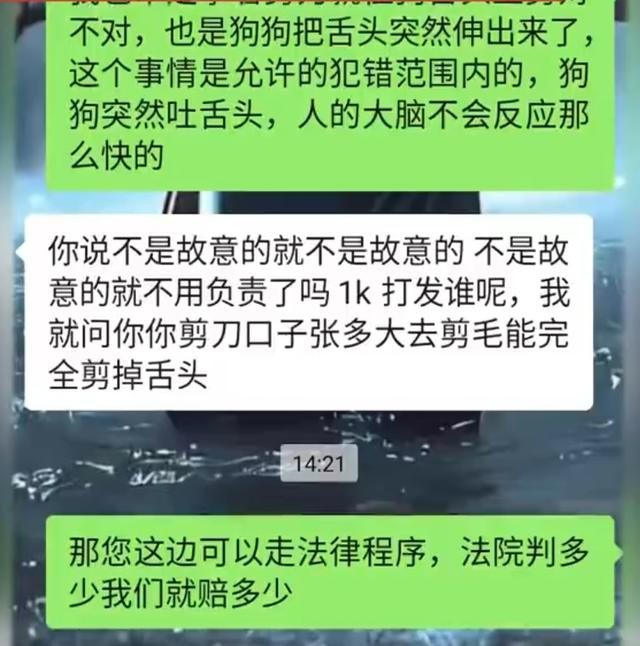 图/九派新闻视频
