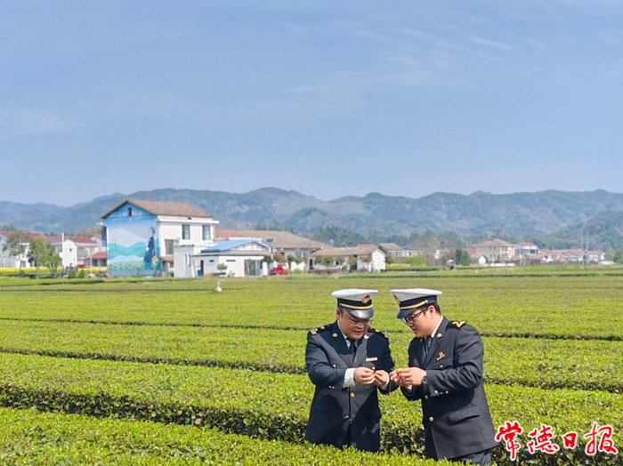 海关实地开展日常监管