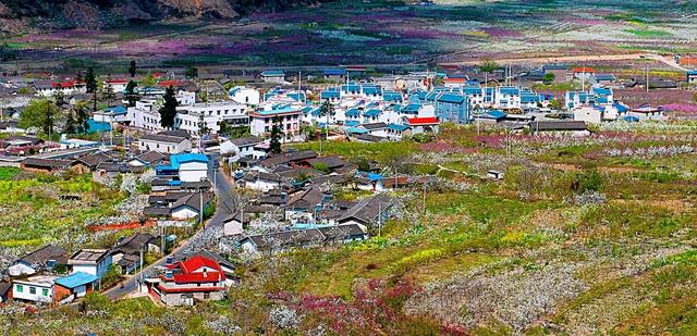 米易美丽乡村普威镇 张剑发摄