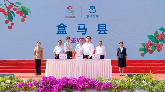 米易县与盒马鲜生签订合作协议 徐金霞摄