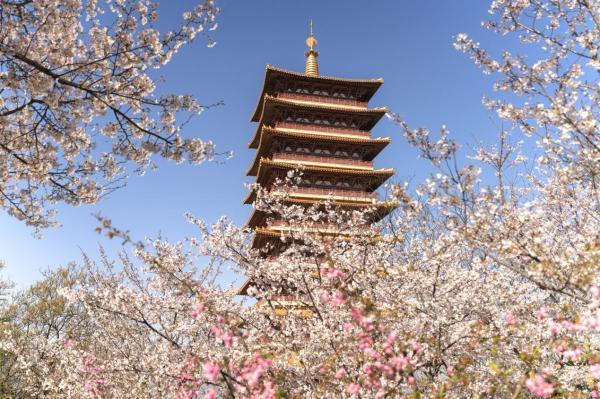 （春牛首风光 牛首山文化旅游区供图）