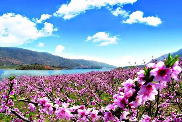 米易县海塔“世外桃源”风景区 米易融媒供图