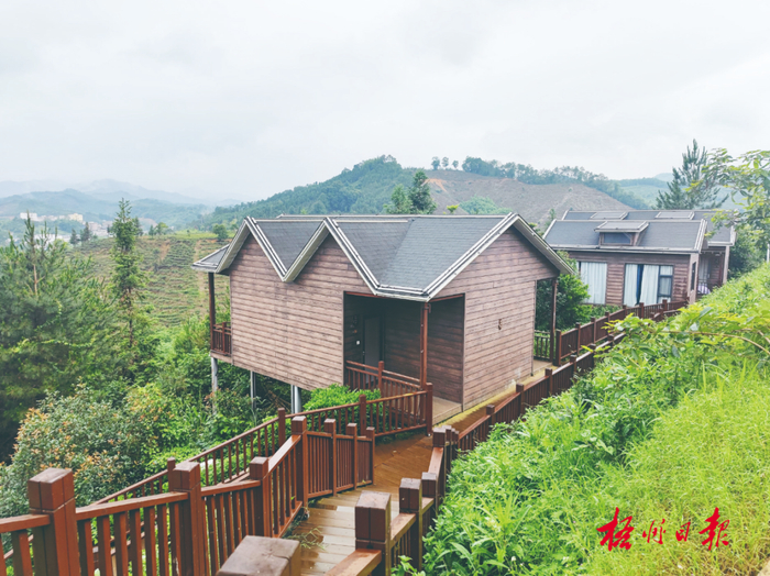 六堡镇大中村六堡茶庄园住宿环境清雅，推窗可见茶山。冼振宇 摄