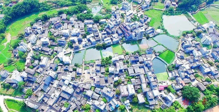 藤县象棋镇道家村屋舍俨然，星罗棋布。欧伟文 摄