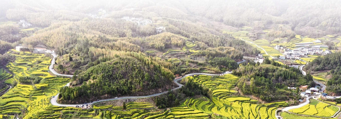 春日的黄山市徽州区灵山梯田风光。本报记者 潘 成 摄