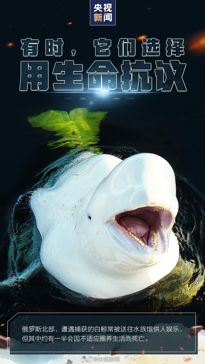 ↑2021年，央视新闻微博呼吁拒绝动物表演