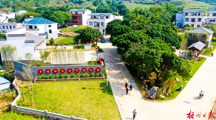 岑溪市糯垌镇绿云村 罗文 摄