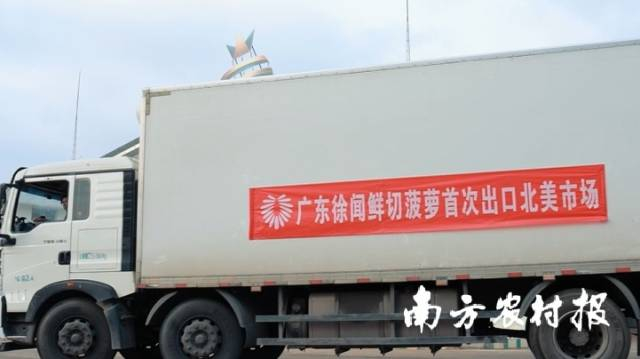 今年3月15日,广东鲜切菠萝实现首次出口。受访者供图