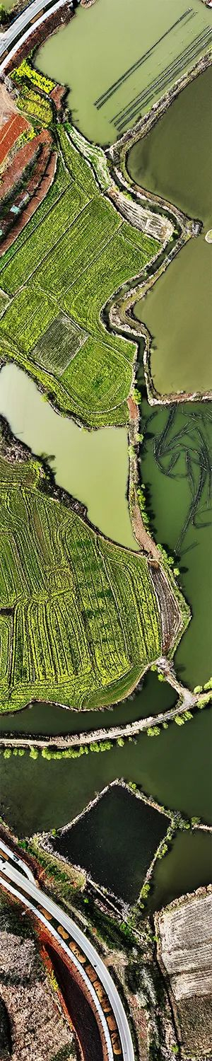 龙山湖国家湿地公园郑伟杰