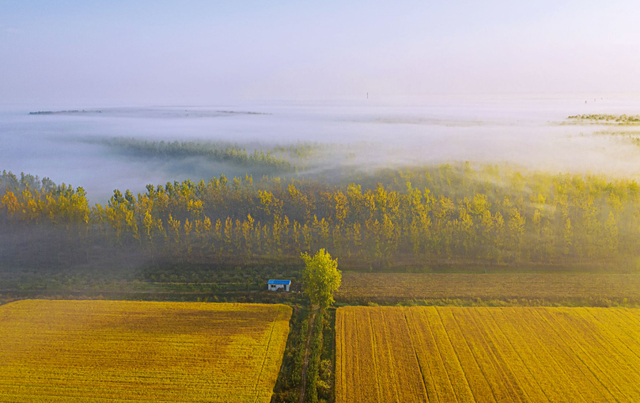 ｜苏北平原 图/泗洪县委宣传部
