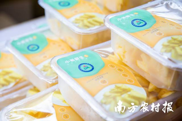 目前,国内市场的鲜切菠萝多是产自徐闻。