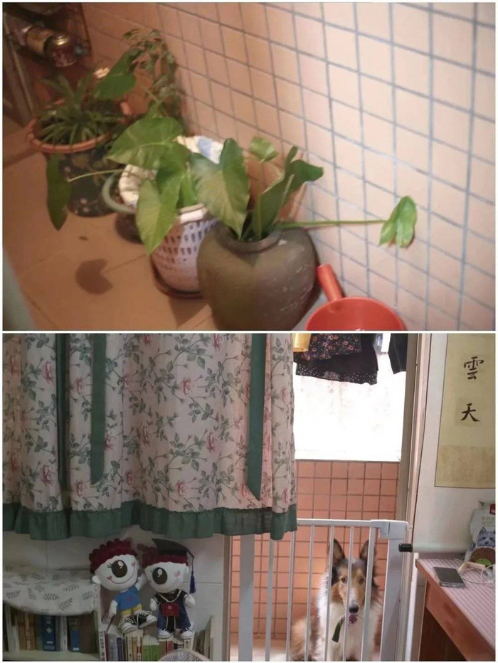 阳台的细节装饰。图/凉白开