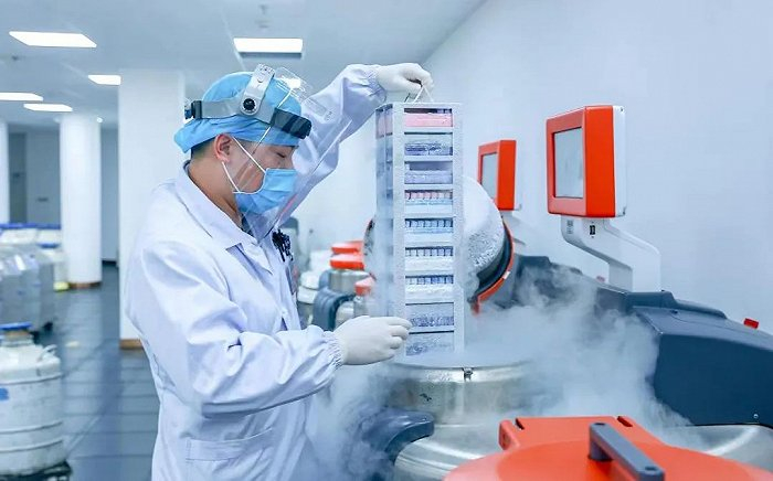 ▲ 医生将检验合格的精子放入液氮罐冷冻保存。图 / 受访者供图