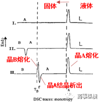 图3 单变体系可能的DSC图谱