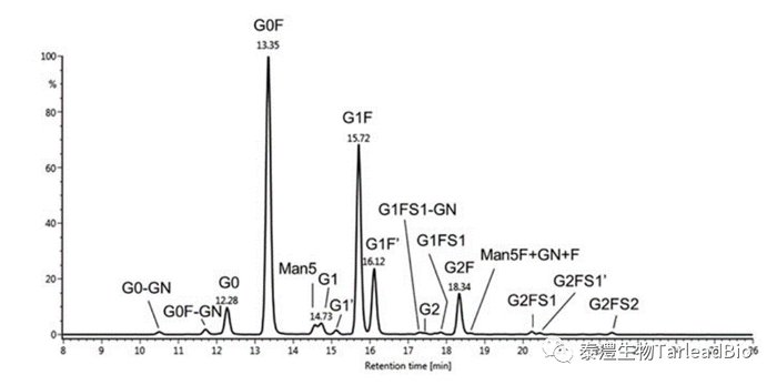 图3 IgG1类型抗体的N糖糖型