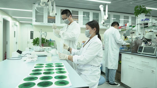 图2：新洋丰科研人员进行试验