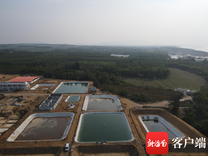 　　昌江海尾智慧渔业产业园一期（起步区）已投产。园区供图
