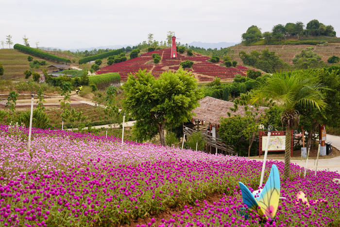 △上两图图源 怀集发布