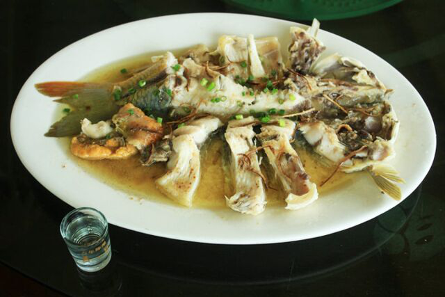 △图源 肇庆市鼎湖区地方志办