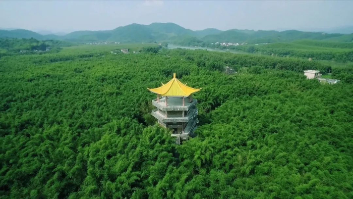 △图源 广宁发布