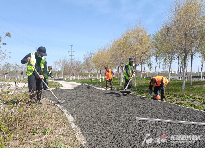 4月23日，在长春北路游园内，工人们正在铺设步道。石榴云/新疆日报记者胡大敏摄