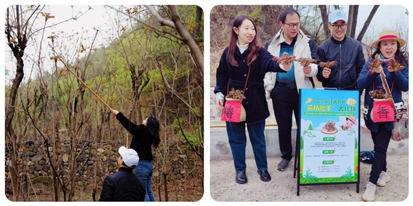 香椿全席享美味，其乐融融泗家水