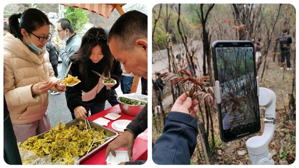 采摘节里庆丰收，民俗表演展新貌