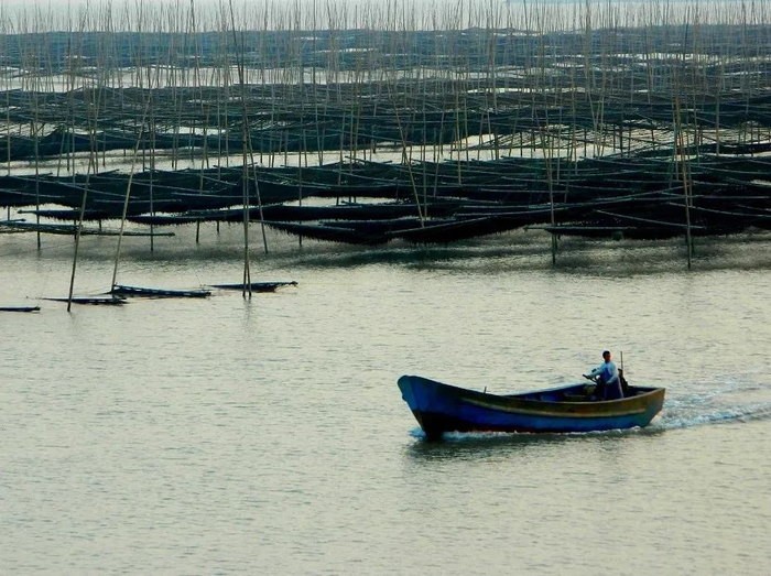大渔海鲜美食市集 大渔镇供图