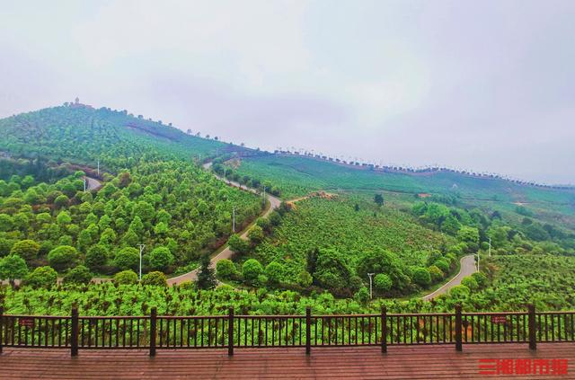 （茶陵花湖谷。受访者供图）